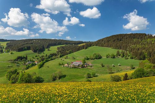 Black Forest House in Glottertal, Black Forest