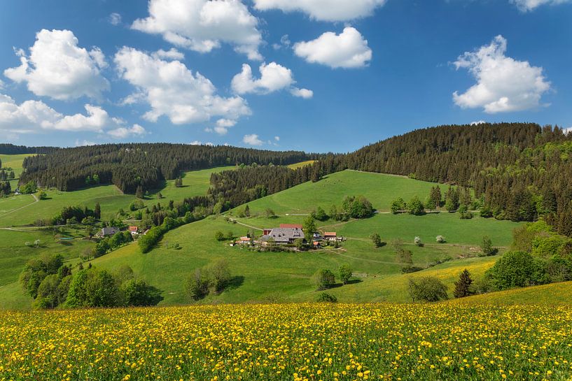 Black Forest House in Glottertal, Black Forest by Markus Lange