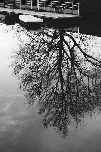 Weerspiegelde boom in een rustig meer - Elegantie in zwart-wit van Carolina Reina