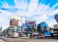 Toronto City