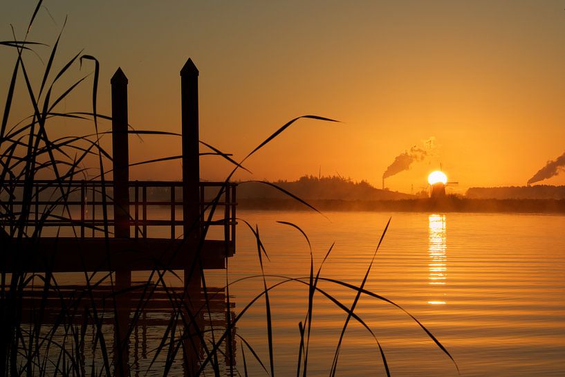 Goud von Harro Jansz
