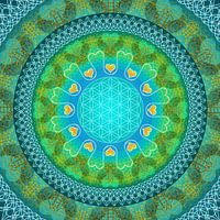 MAHA COHAN - AN'ANASHA für deine abgrenzende Energie