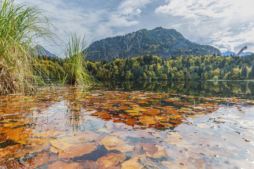 Autumn at Lake Freiberg by Walter G. Allgöwer