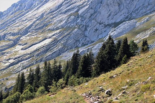 Belle Alpes