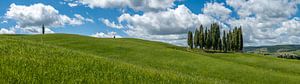 Ein toskanisches Panorama
