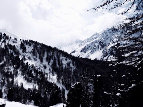 The magic of snow...(8)