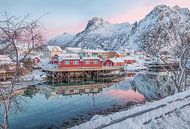  Svolvaer Norway by Riccardo van Iersel thumbnail