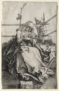 De Maagd en kind op een grasbank, Albrecht Dürer van De Canon