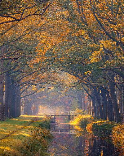 Herfst in Drenthe