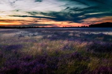 De heide onder een deken van mist