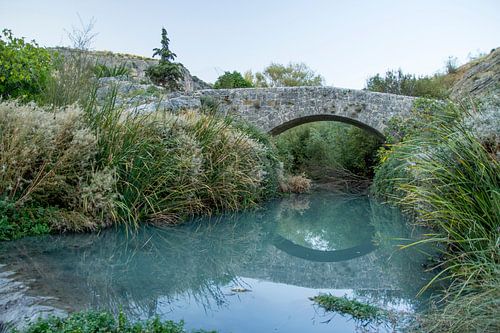 Roman Reflection