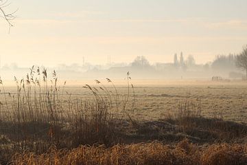 Misty Morning in Morning Dew van Debby Frijn