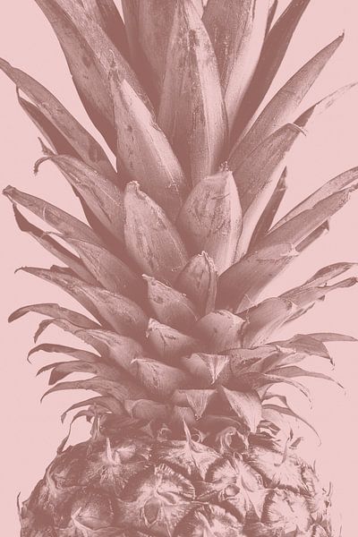 Ananas close-up 01 van Pictufy Studio III