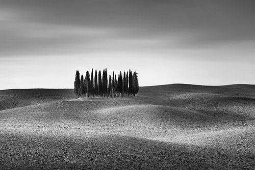 Heuvelachtig landschap met cipressen in Toscane. Zwart-wit beeld.