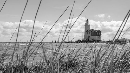 Paard van Marken