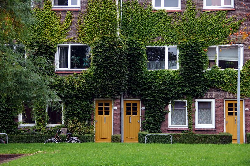 Joli bâtiment aux Pays-Bas par Reka Revasz