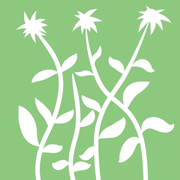 Fleur esthétique de couleur blanche, verte et blanche par Naufal Ilham