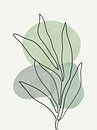Plant groene tinten, boho stijl van Studio Miloa thumbnail