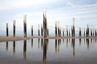 Reflections Palendorp in Petten