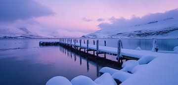Winterpanorama's van Scandinavië, ijzige landschappen van fernlichtsicht