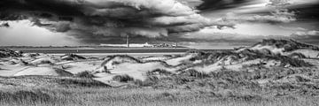 Dune Texel avec vue sur le phare de Den Helder