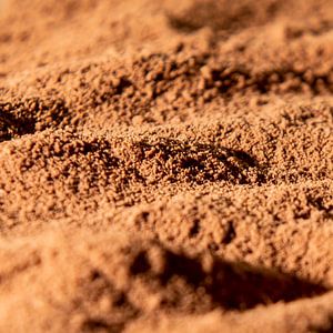 Cocoa