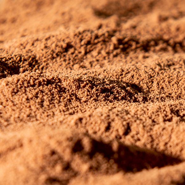 Cocoa by Scholtes Fotografie