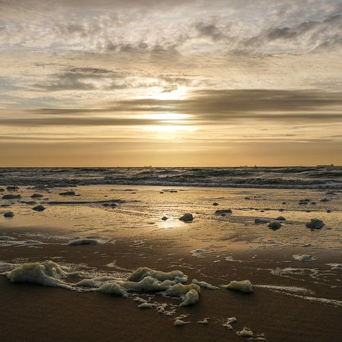 Coucher de soleil Côte de la mer du Nord Bord de mer Pays-Bas Or Bleu Carré
