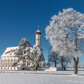 Pilgrimage church of St Coloman in Winter by Markus Lange