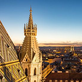 Uitzicht over Wenen en de Stephansdom bij nacht van ManfredFotos