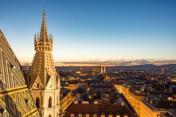 View over Vienna and St. Stephen's Cathedral at night by ManfredFotos