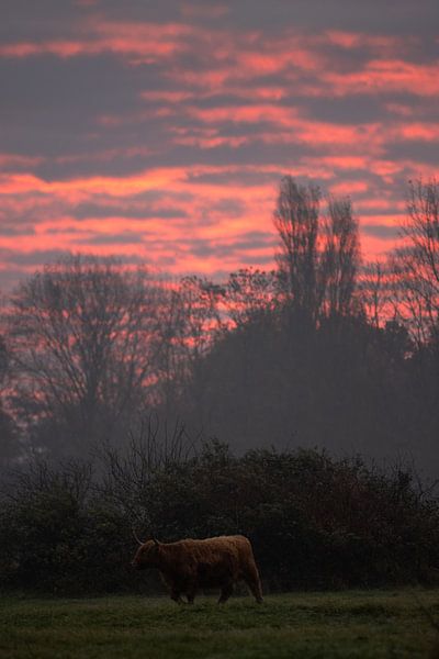 Morgenstille in Flame Air von Sebastian Stef