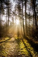 goldene Stunde