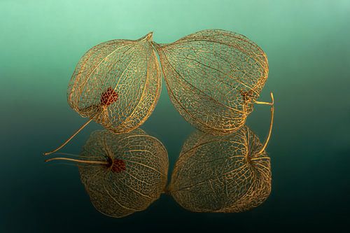 Zo leeg van binnen: 2 lampionnetjes met petrol - turquoise achtergrond