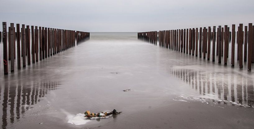 Paaltjes par Irma Lit