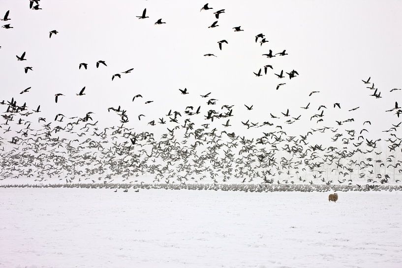 Winter Landscape1 by Willy Lippens