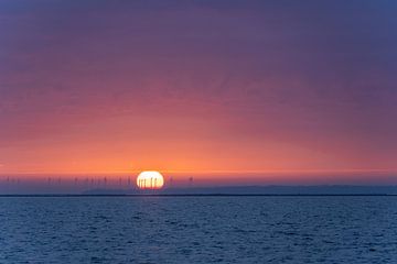 Zonsopkomst ochtend rood van Björn van den Berg