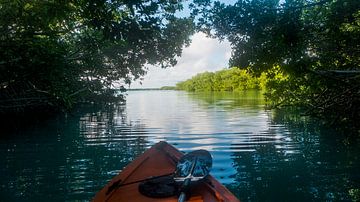 kayak in mangroves van Ivana Luijten