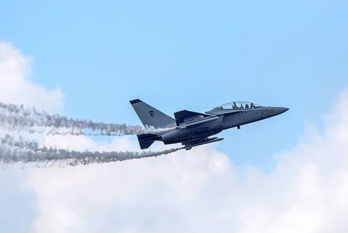 Chasseur à réaction d'entraînement sur Dick Mandemaker