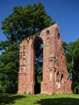 Greifswald : Klosterruine Eldena