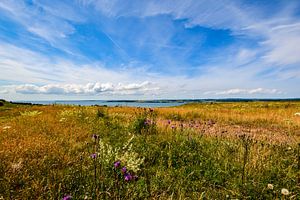 Blick Hagensche Wiek, Rügen