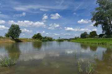 Plas bij Palmerswaard 01 van Cilia Brandts