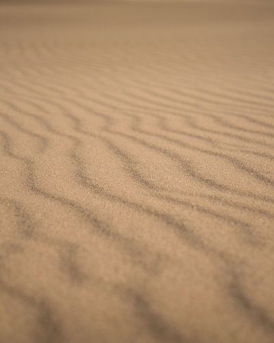 Textur der Sanddüne