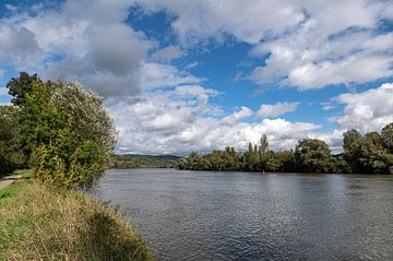 Burg-sur-Moselle van Richard Wareham