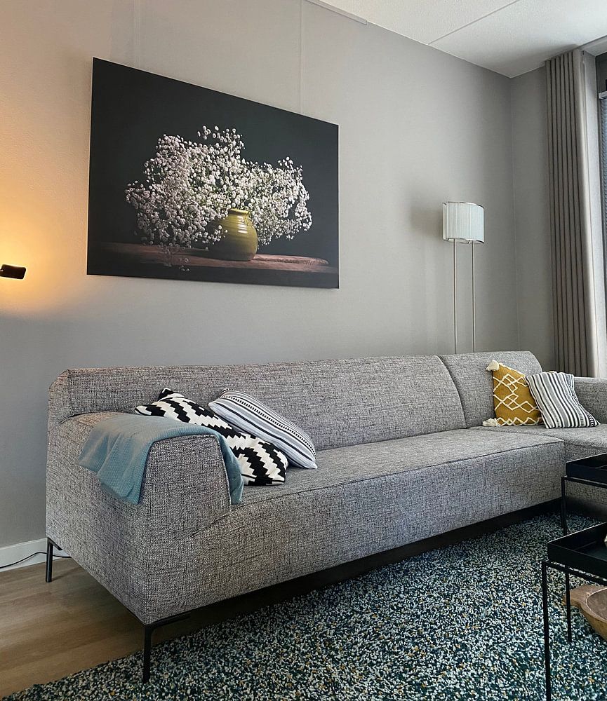 Gypsophila, still life  by Joske Kempink 