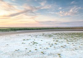 You can eat from the floor by Wad of Wonders
