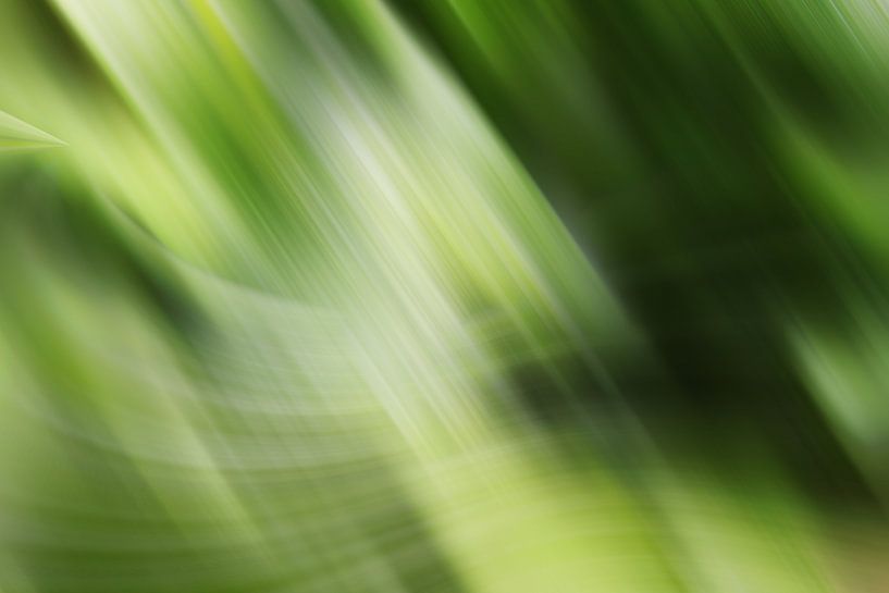 gruen von Dagmar Marina