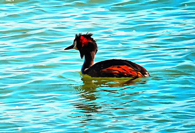 Great Crested Grebe by Dorothy Berry-Lound