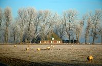 Nederlands landschap met boerderij van Cora Unk thumbnail