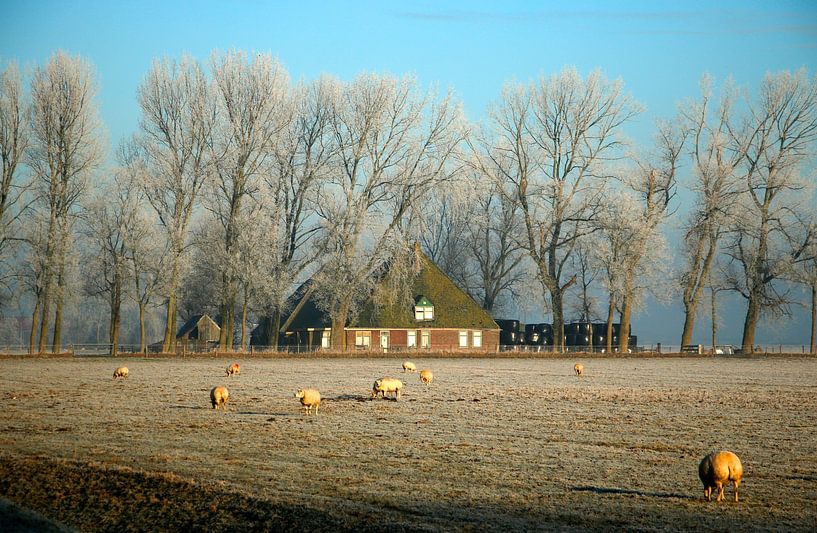 Nederlands landschap met boerderij van Cora Unk